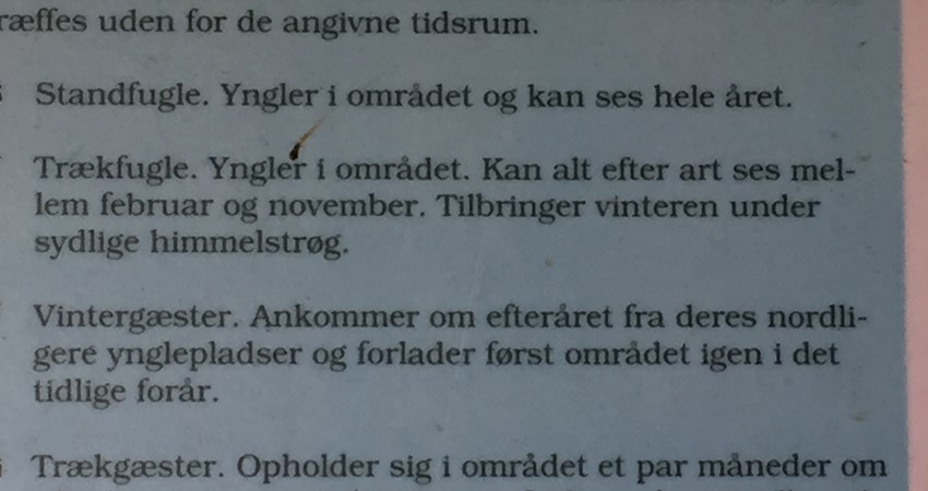 Havdrup mose fugleskitse2.JPG