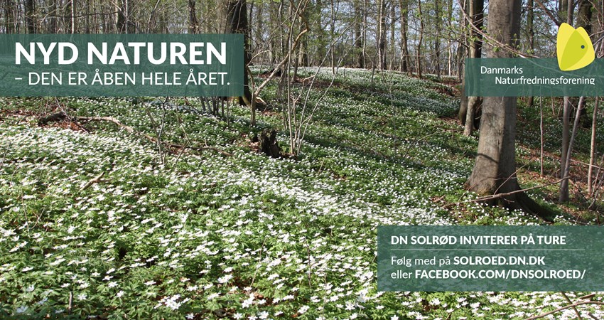 Solrød Bio 03, Marts.JPG