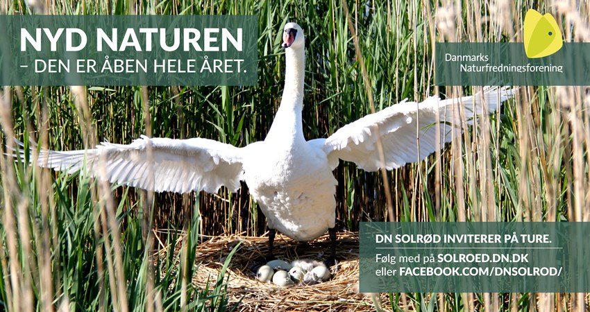 Solrød Bio 05, Maj.jpg