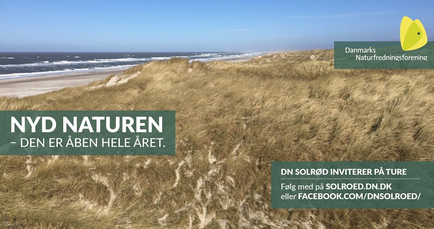 Solrød Bio 07, Juli.jpg