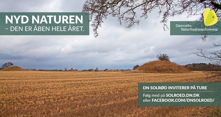 Solrød Bio 09, September.jpg