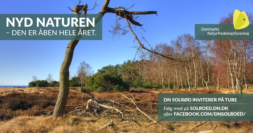 Solrød Bio 10, Oktober.jpg