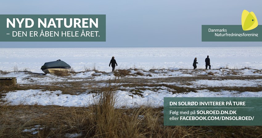 Solrød Bio 01, Januar.jpg