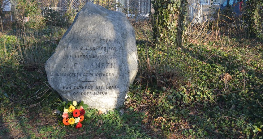 20190120 mindesten.JPG