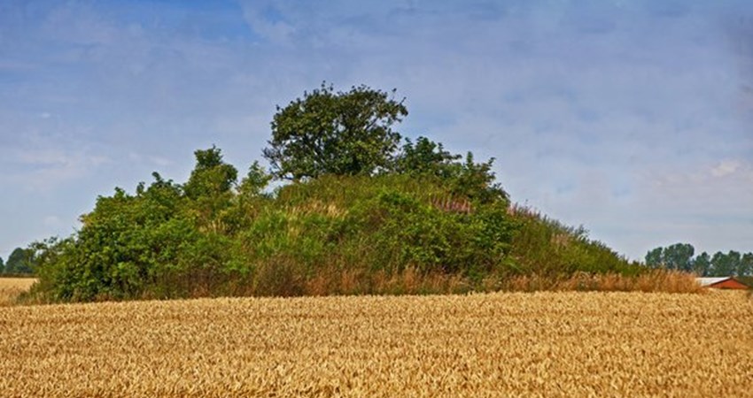 Bronzealder høj.1.jpg