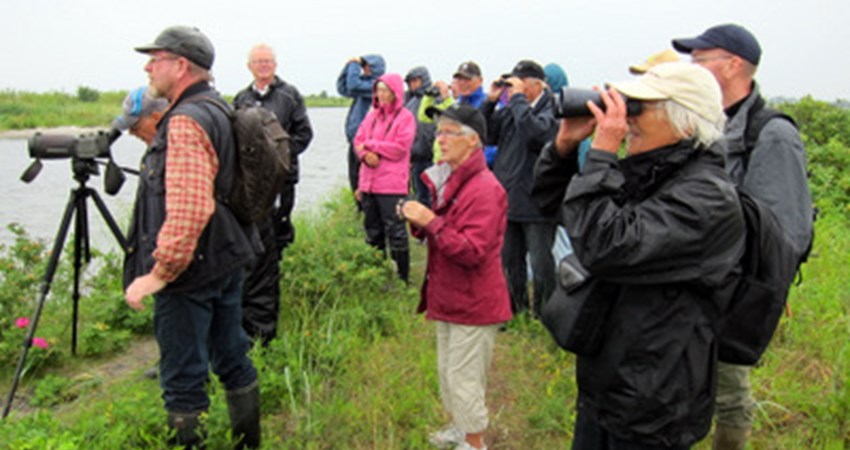 Fugletur Staunings Ø.JPG