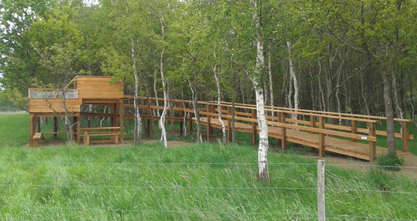 Fugletaarn1 Karlstrup mose_20150531.jpg