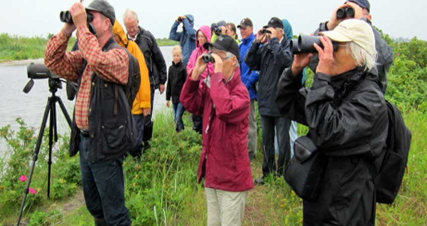 Staunings oe 2011_ 3.jpg